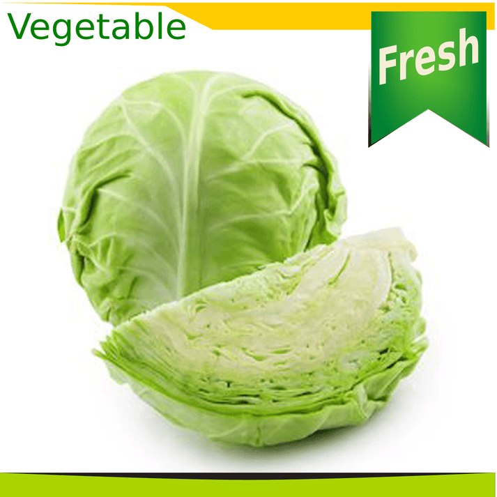 Green Cabbage