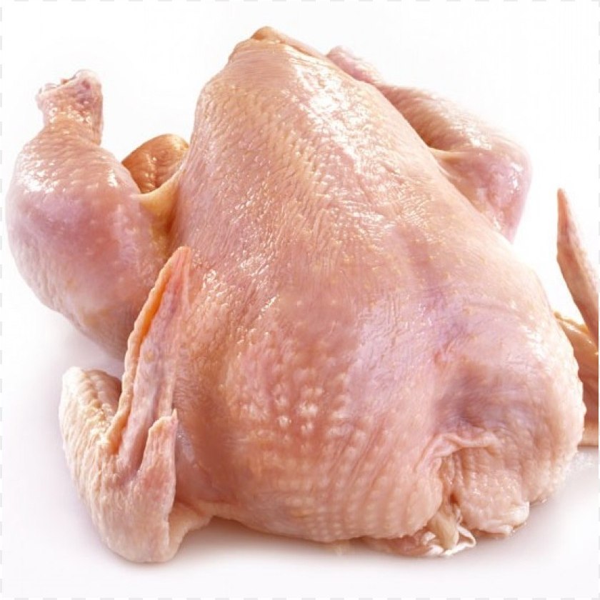 Broiler chicken
