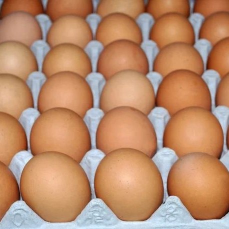 Eggs (Full Tray)