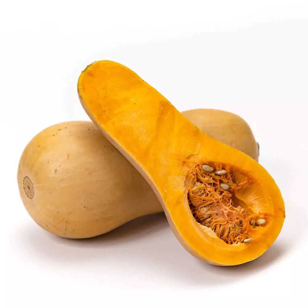 Butternut