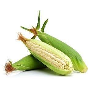 Green Maize