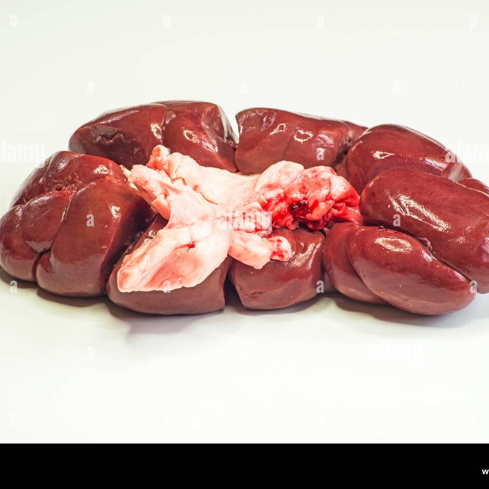 Beef kidney