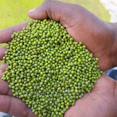 Ndengu Green grams (500 g)