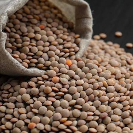 Kamande Lentils (250 g)